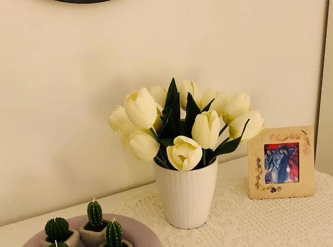 Vakantiehuis La Casa Di Nonna Clo, Nel Centro Di Vasto