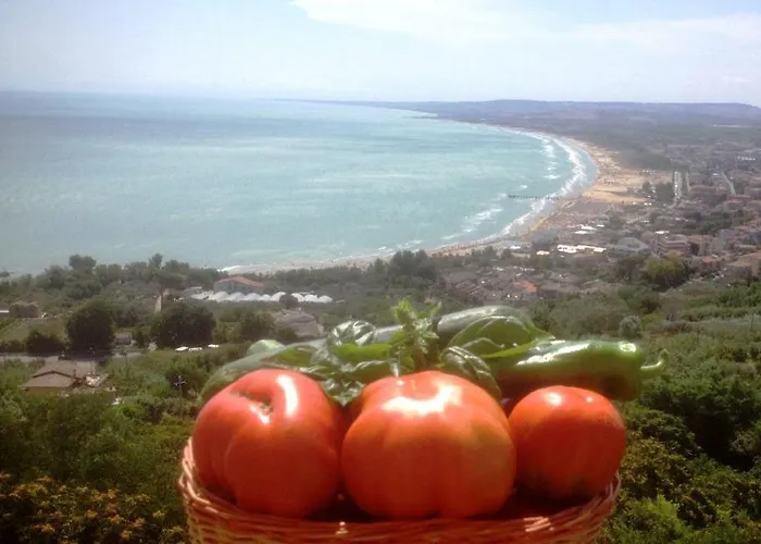 La Casa Di Nonna Clo, Nel Centro Di Vakantiehuis
